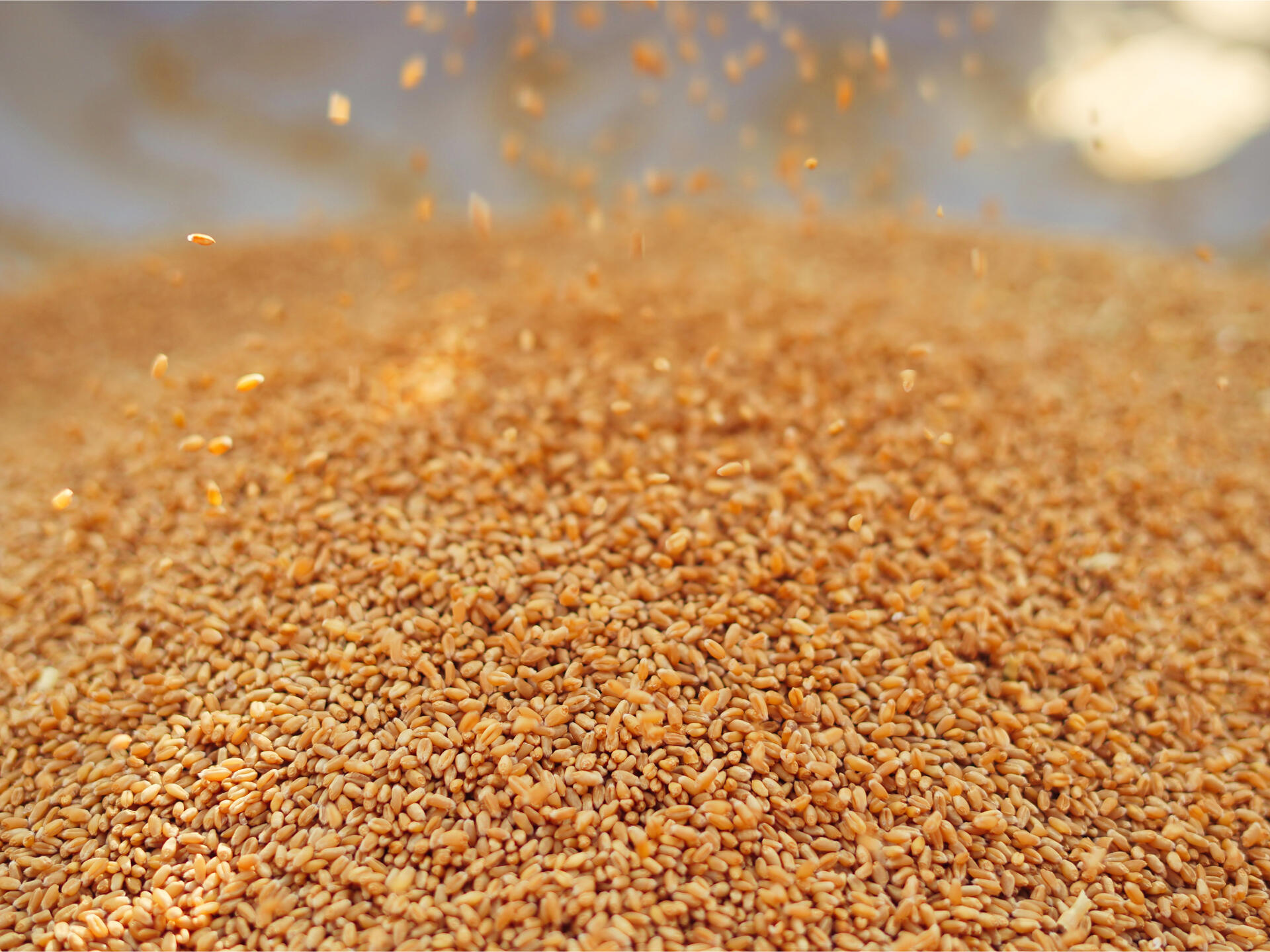 Crop nutrition